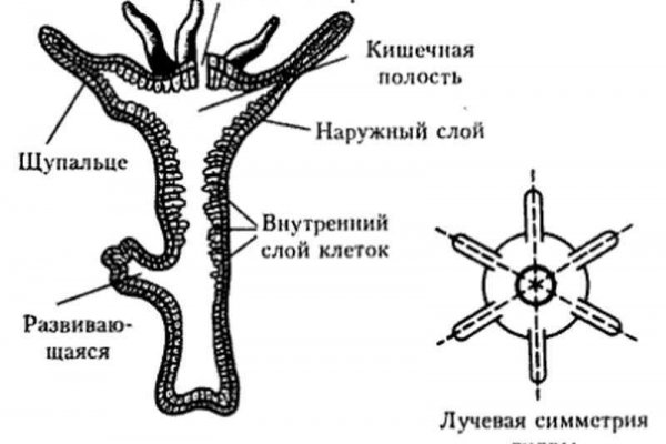 Угнали аккаунт кракен