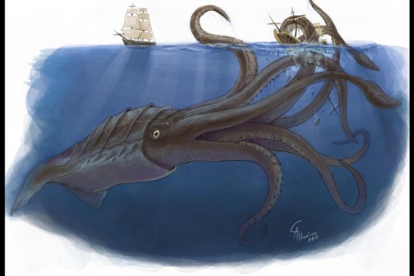 Kraken ссылка krakens13 at